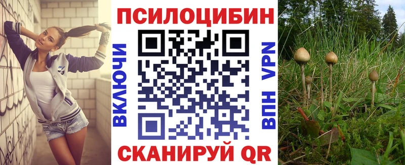 Псилоцибиновые грибы мицелий  Новохопёрск 